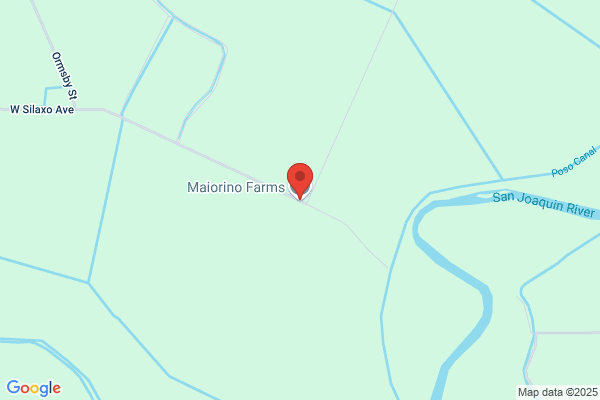 Lewis Maiorino Ranches