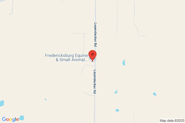 Equine Veterinary Services