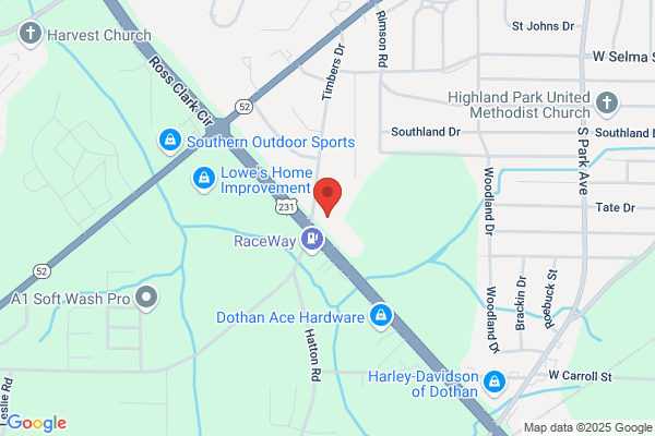 Advance Auto Parts