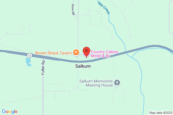 Chehalis River Cabin At Dryad
