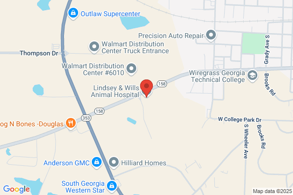 Lindsey & Wills Animal Hospital PC