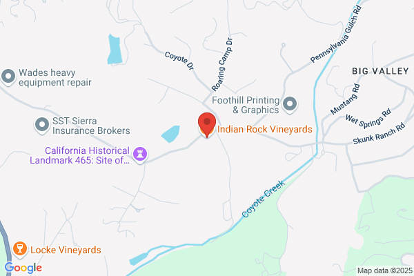 Indian Rock Vineyard