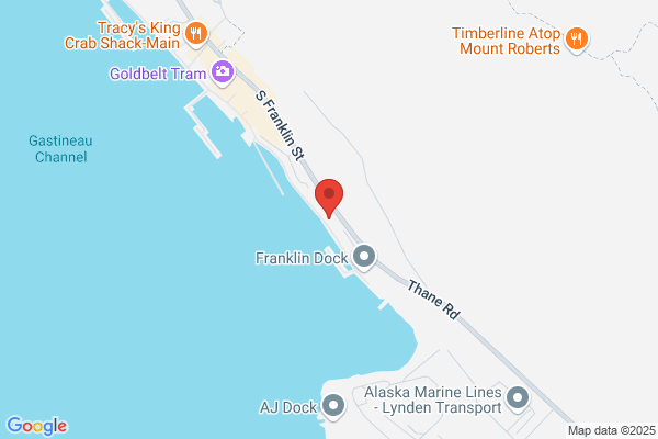 Princess Tours