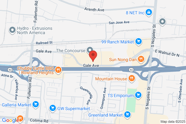 Digital Systems Service Inc
