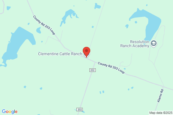 Clementine's Cattle Company