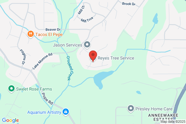 Reyes Tree Service