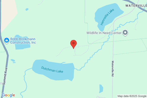 Lad Lake Inc