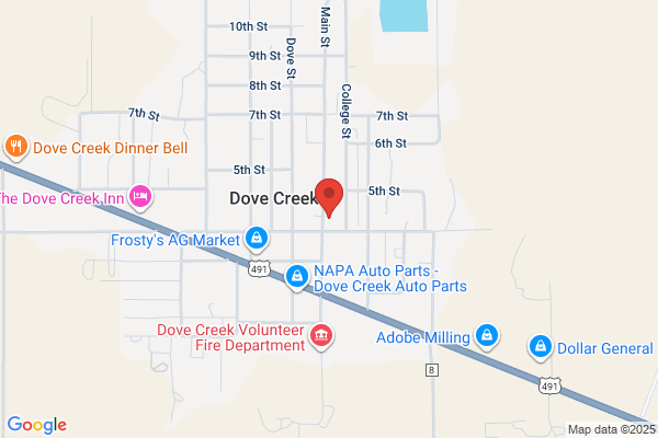 Dolores County Government, Treasurer