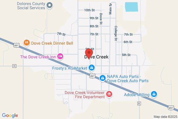Dove Nest Early Education and Child Care