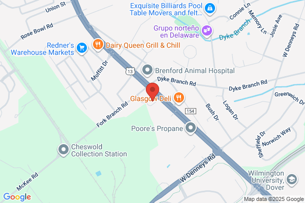 Advance Auto Parts
