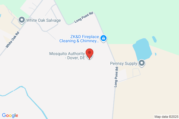 Pest Authority of Dover