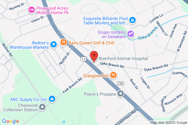 Brenford Animal Hospital