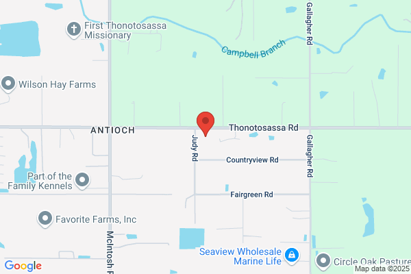 Buddy's Roofing & Repair's Inc.