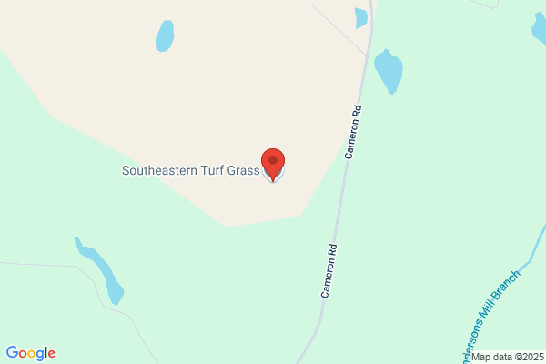 Southeastern Turf Grass