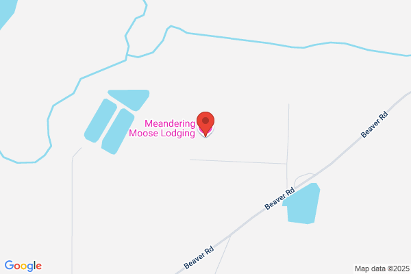 Meandering Moose Motel