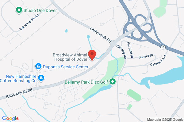Broadview Animal Hospital of Dover
