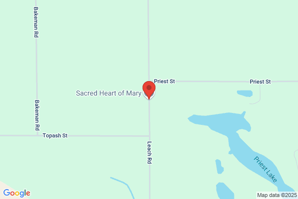 Sacred Heart of Mary