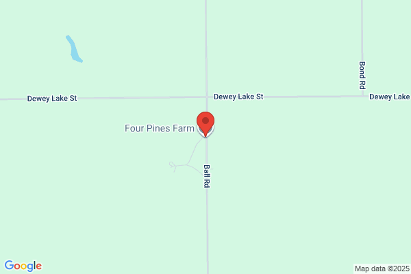 Four Pines Farm Llc