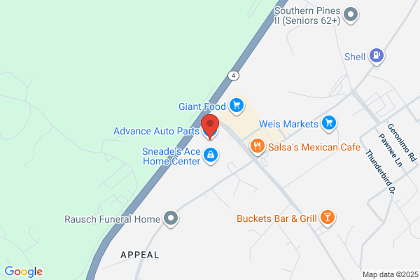 Advance Auto Parts