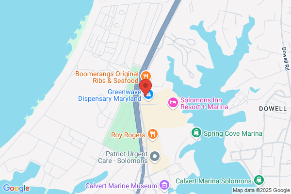 Sea Dive and Cycle