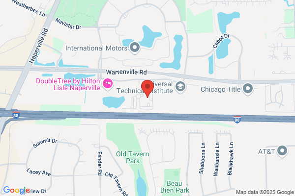 Lisle Technology Partners Llc
