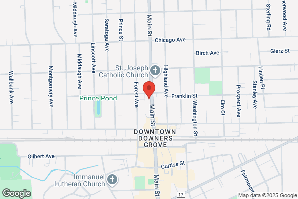 Counseling & Social Services Village of Downers Grove