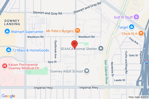 Pacific Collision Center of Downey