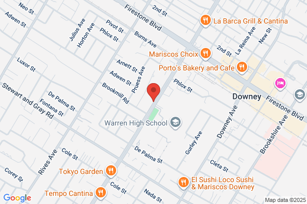 Downey Therapeutic