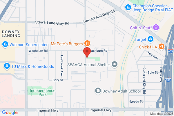 North Star Electronics & Graphics
