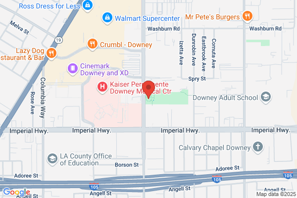 Downey Skate