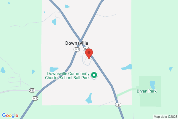 Downsville High