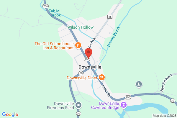 Delaware Valley Family Health Center Downsville