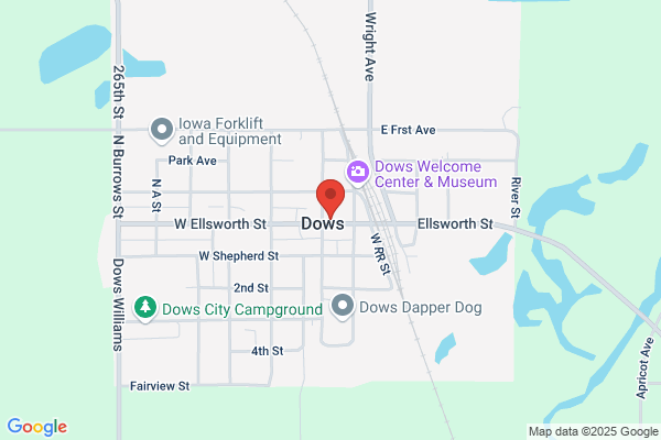 Dows Grocery Inc