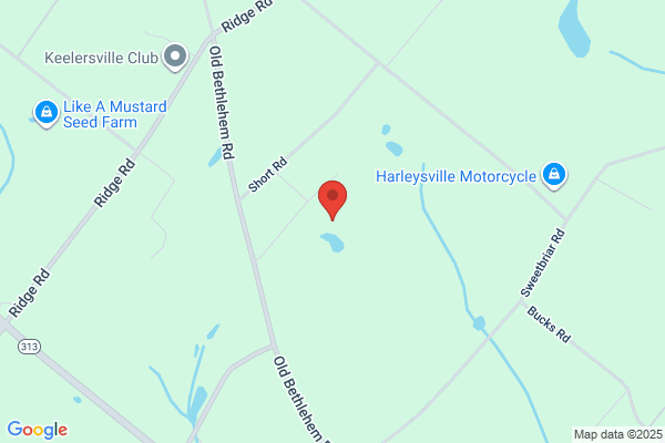 Bucks County of, General Services