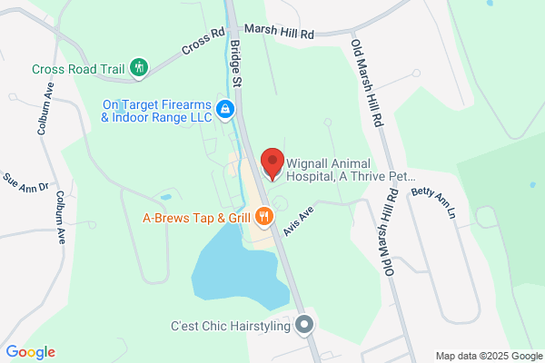 Wignall Animal Hospital