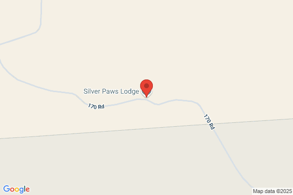 Silver Paw Lodge