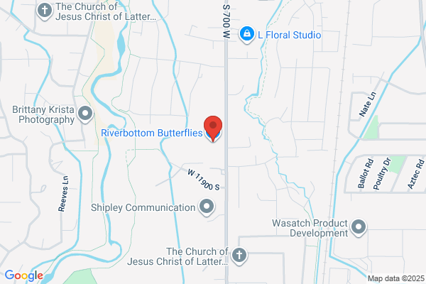 Riverbottom Butterflies