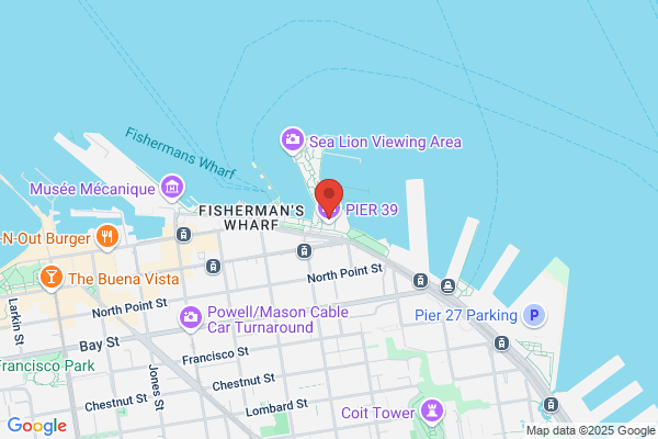 San Francisco Pier 49 Pizza Sourdough
