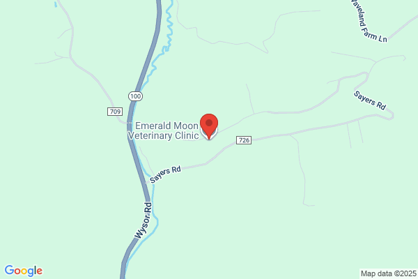 Emerald Moon Veterinary Clinic