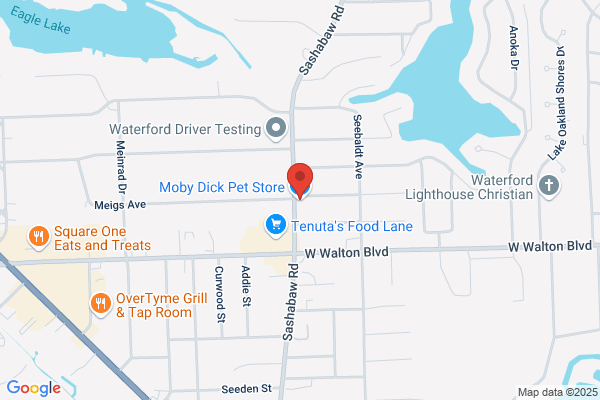 Moby Dick Pet Store