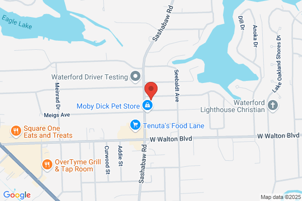 Bankston Brett