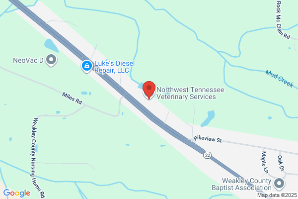 Northwest Tennessee Veterinary Services