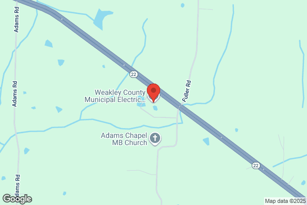 Weakley County, Municipal Electrical System