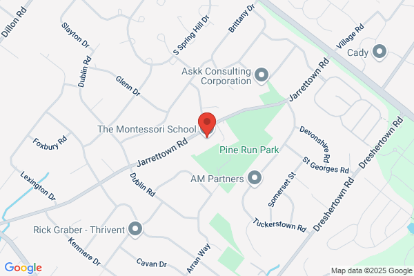 The Montessori School