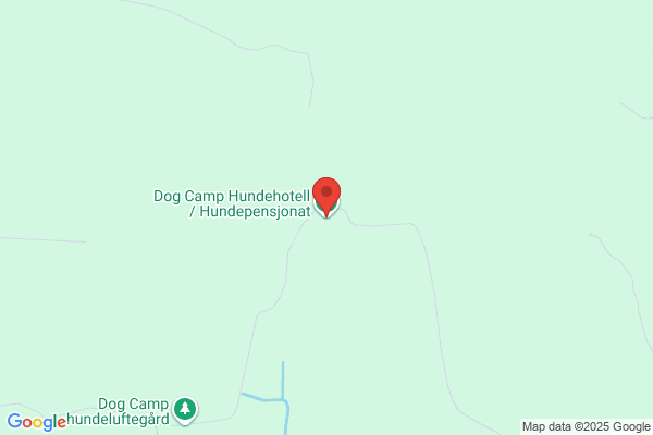 Dog Camp