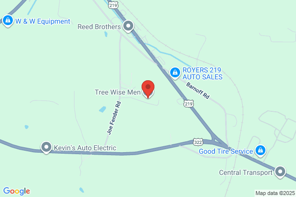 Tree Wise Men, LLC