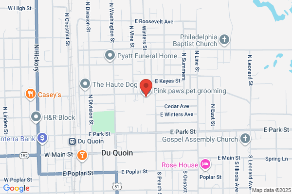 Duquoin Dog Grooming