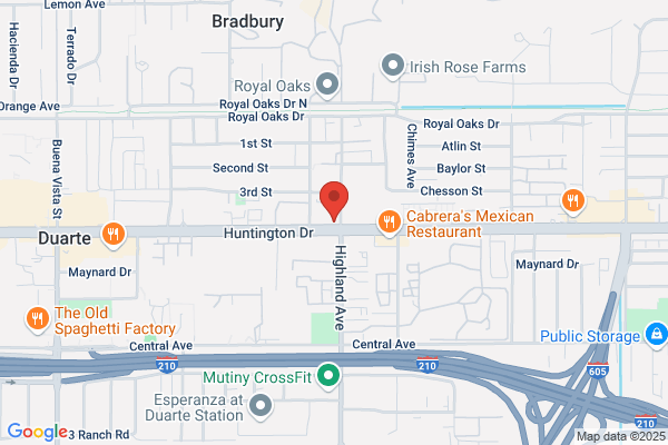 True Care Home Health Agency Inc