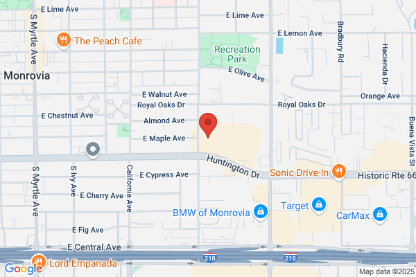 Old Town Fight Club