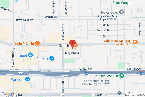 AutoZone Auto Parts